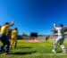 australian men’s cricket team vs scotland national cricket team match scorecard